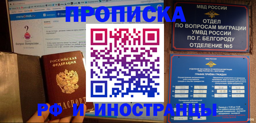 прописка 2025 в Долгопрудном